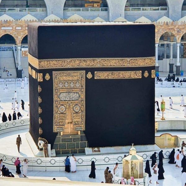 شركة مونى دايز للسياحه (1)